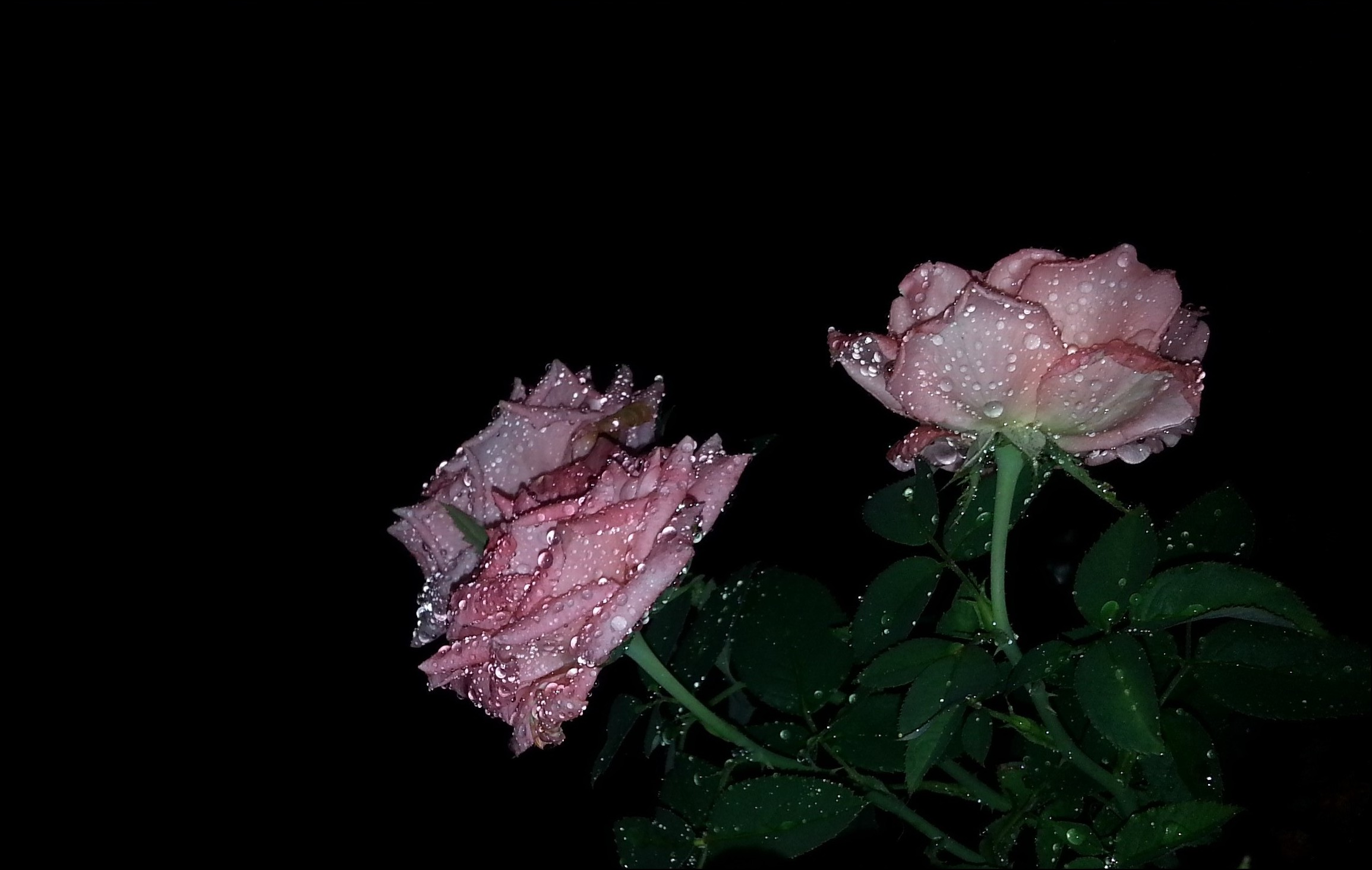 20130712_224419_conew3.jpg