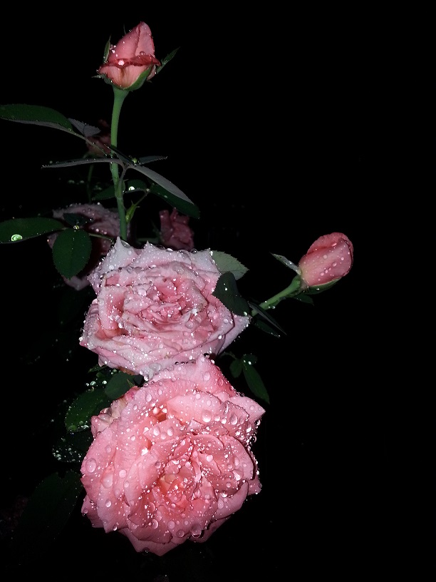 20130712_224056.jpg
