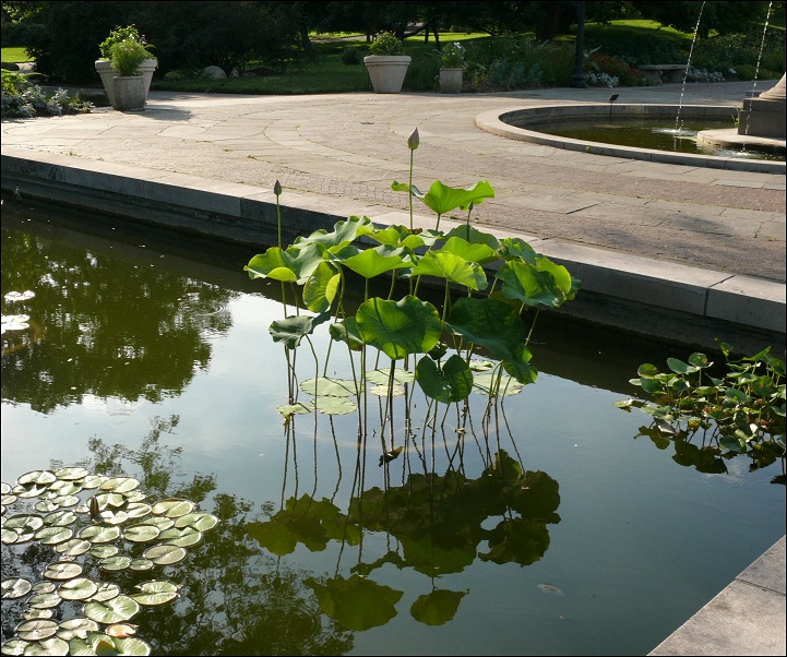 l1020783_conew1.jpg