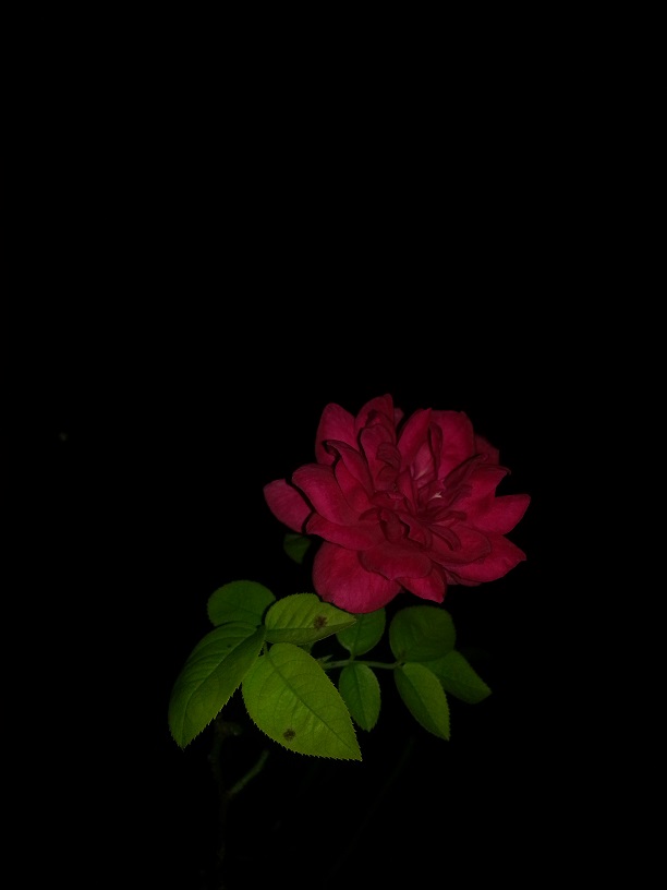 20130718_223014.jpg