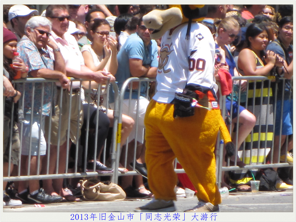 IMG_0262.jpg