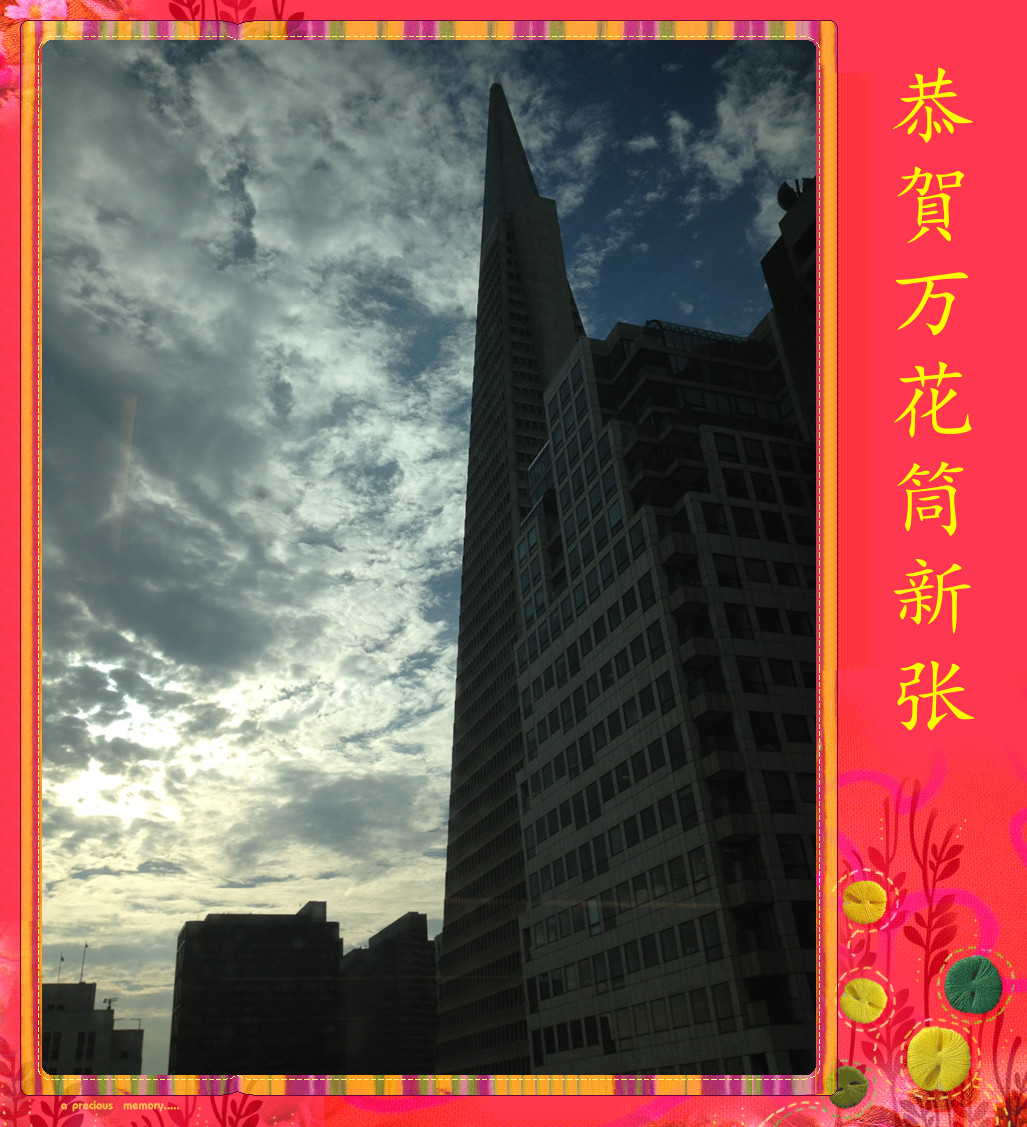 照片 (14)_.jpg