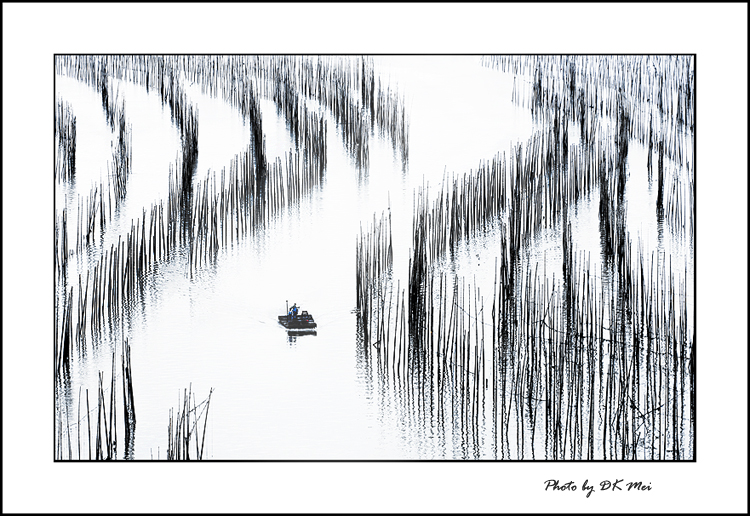 DSC_3292C.jpg