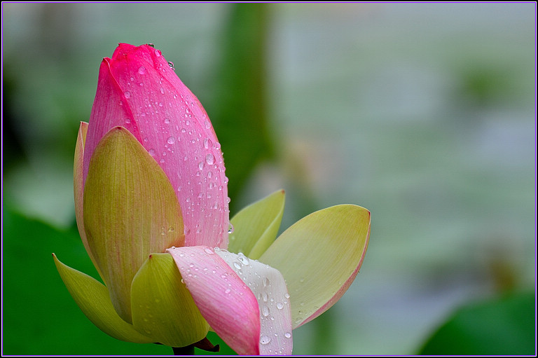 DSC_8315-2.jpg