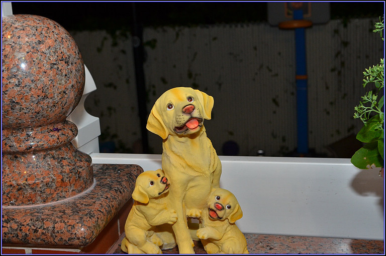 DSC_4010.jpg