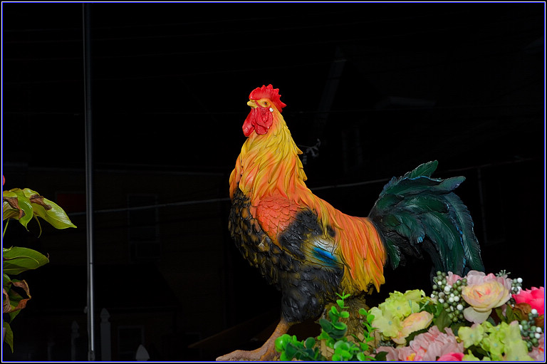 DSC_3992.jpg