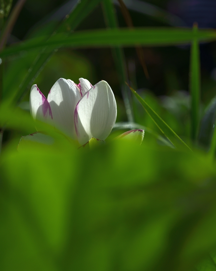 _DSC9137.JPG