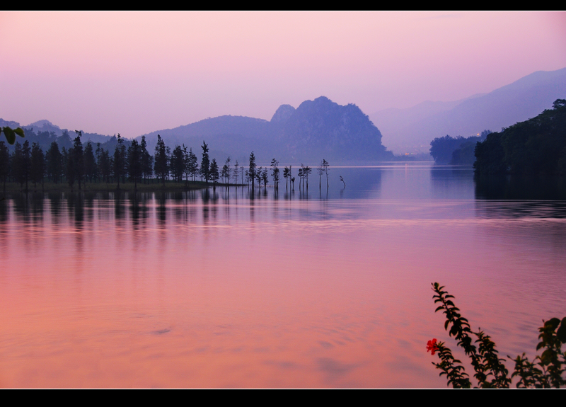 DSC_0385-2.jpg