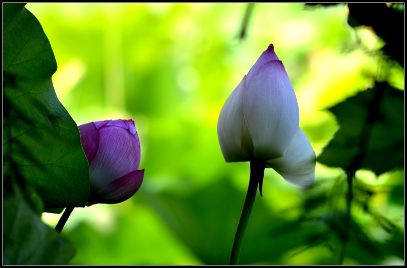 081_����.jpg