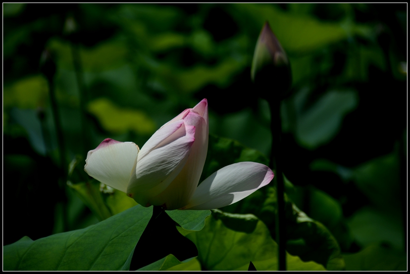 032_����.jpg