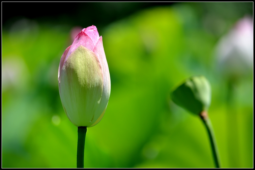 057_����.jpg