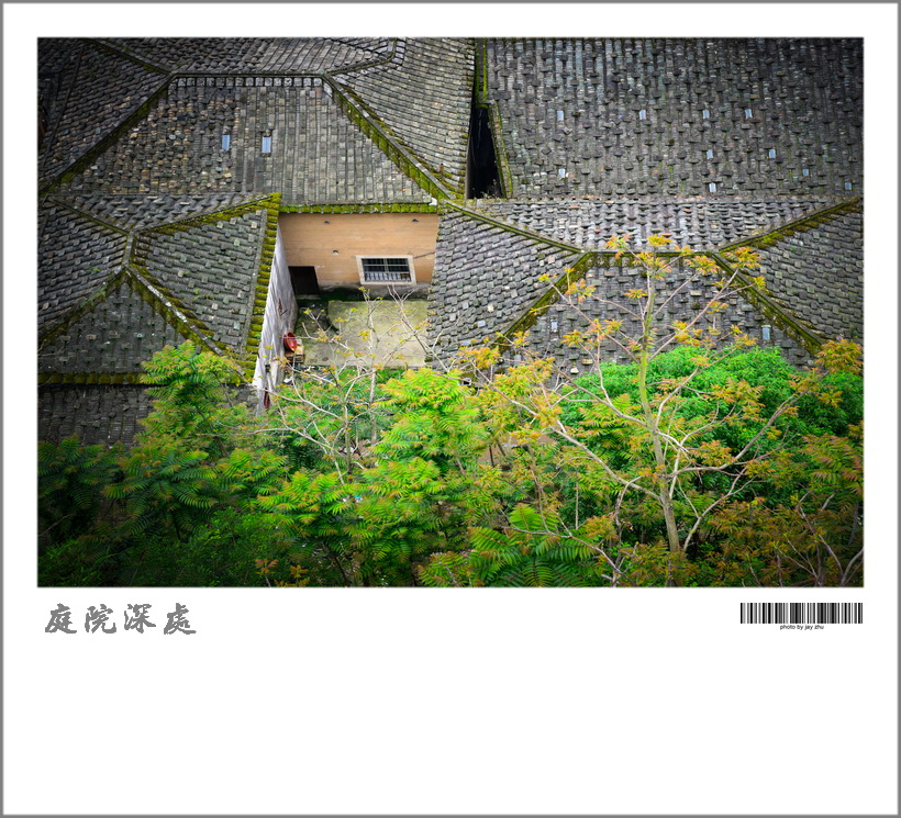 DSC_8761g.jpg