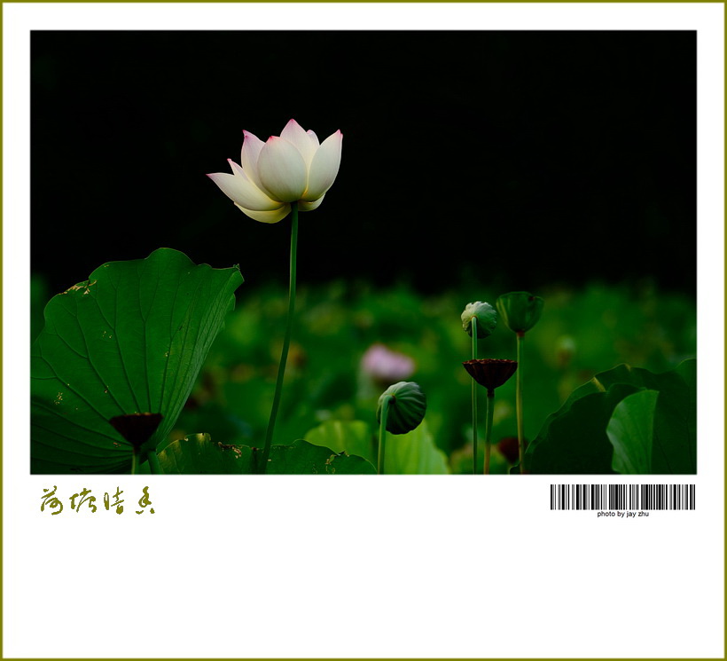 DSC_97761.jpg