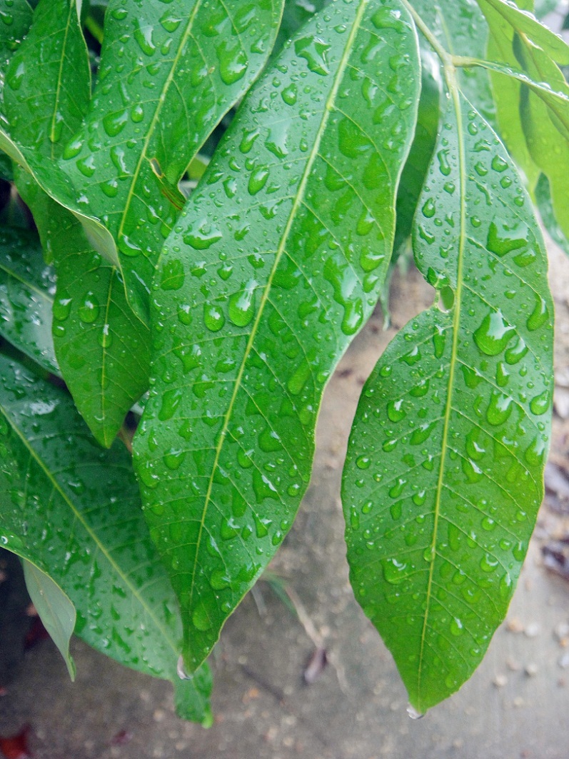 DSC08604_.jpg