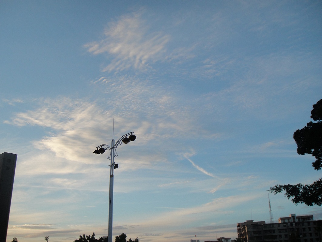 DSC08266.JPG