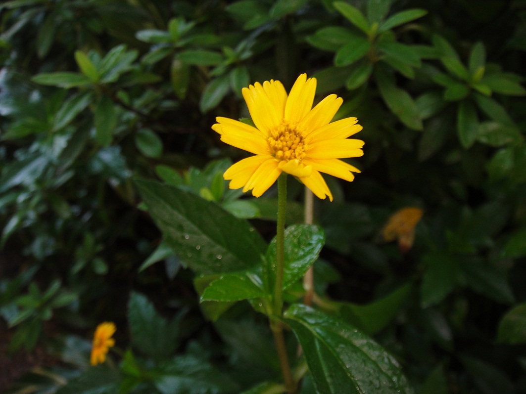 DSC08636.JPG