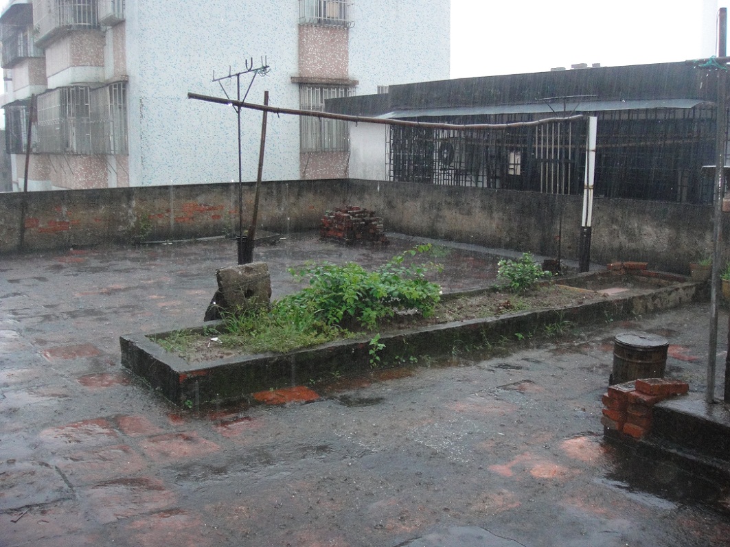 DSC08575.JPG