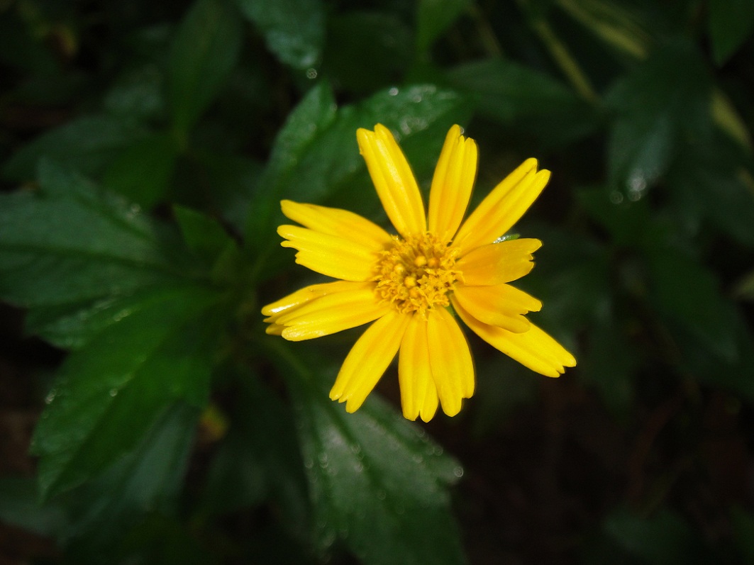 DSC08635.JPG