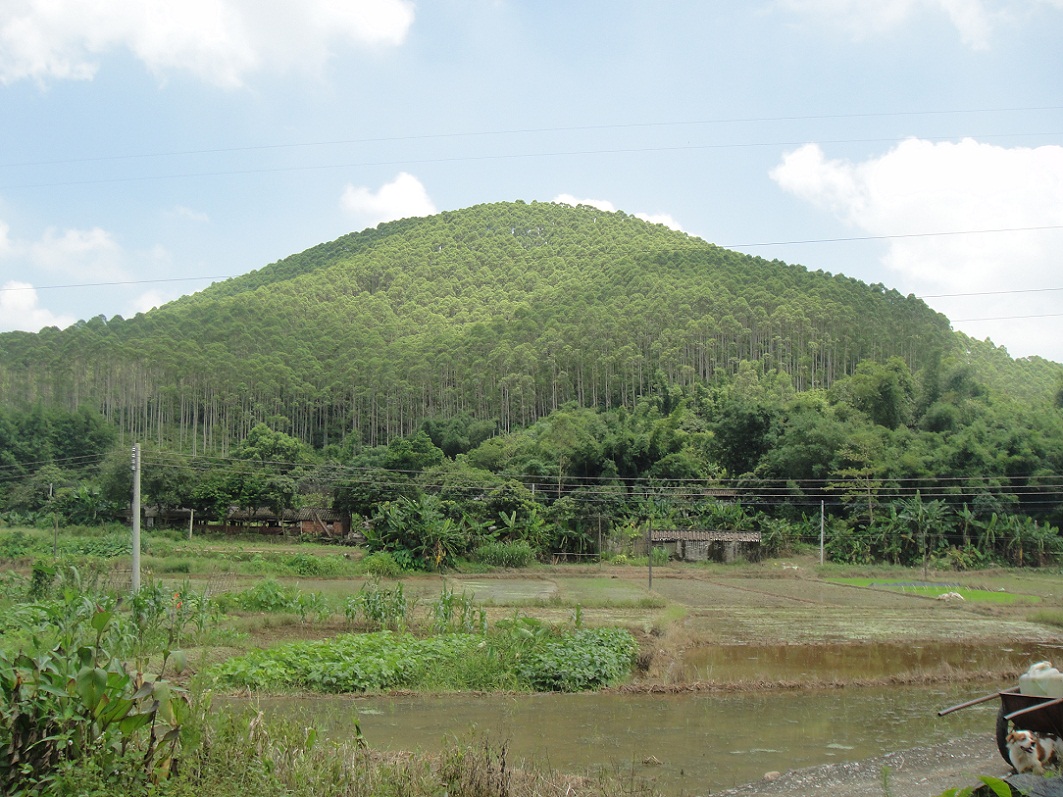 DSC08680.JPG
