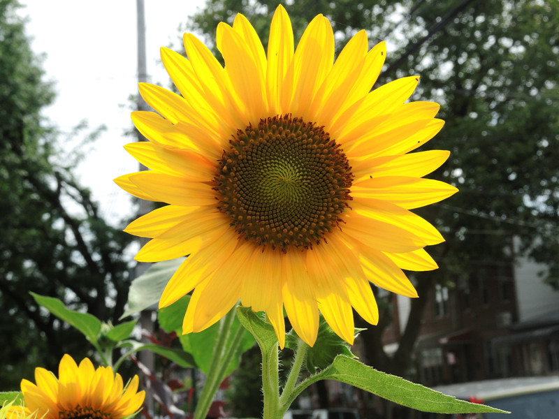 018_����.jpg