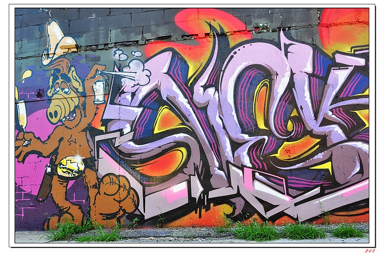 026 024-1.jpg