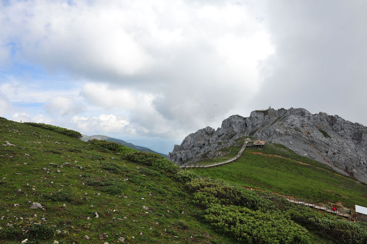 nEO_IMG_DSC_8364.jpg