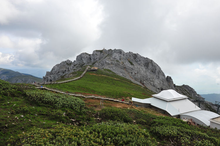 nEO_IMG_DSC_8362.jpg