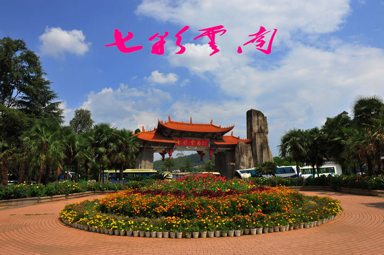DSC_7379_conew1.jpg