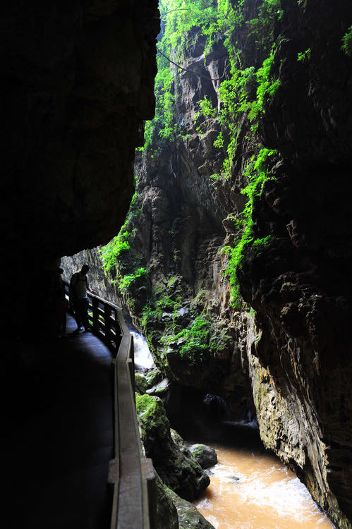 nEO_IMG_DSC_7205.jpg
