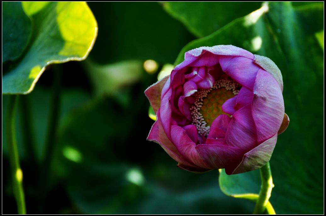 DSC_3653.jpg