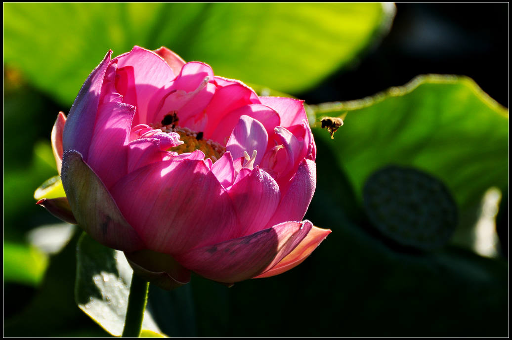DSC_3621.jpg