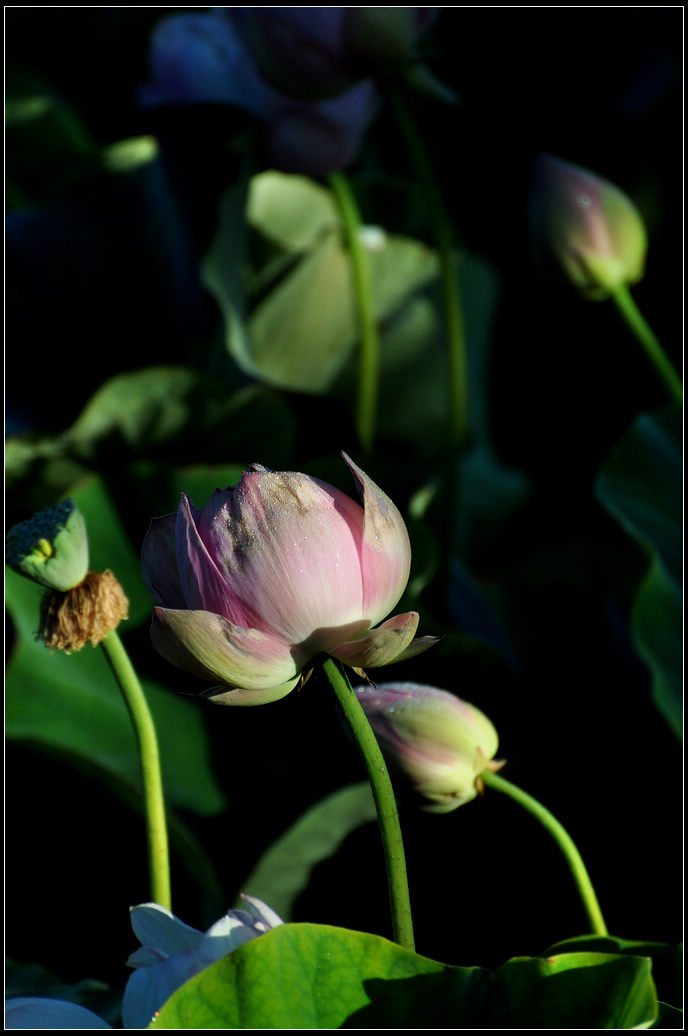 DSC_3560.jpg