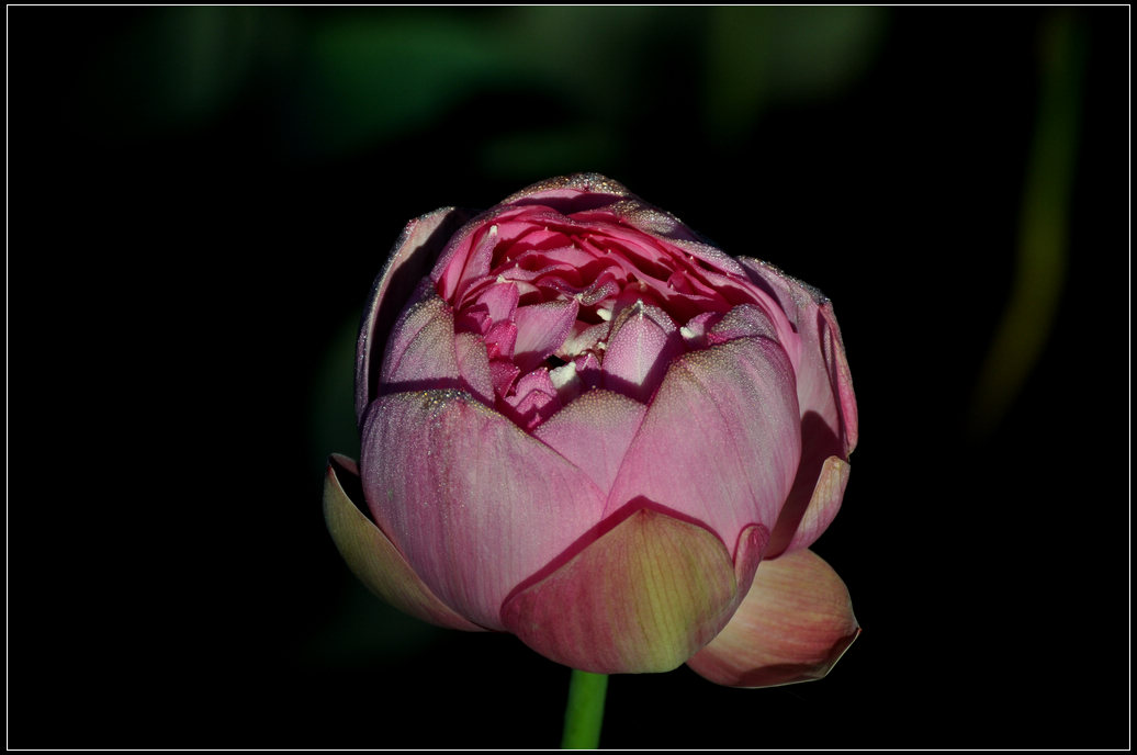 DSC_3573.jpg