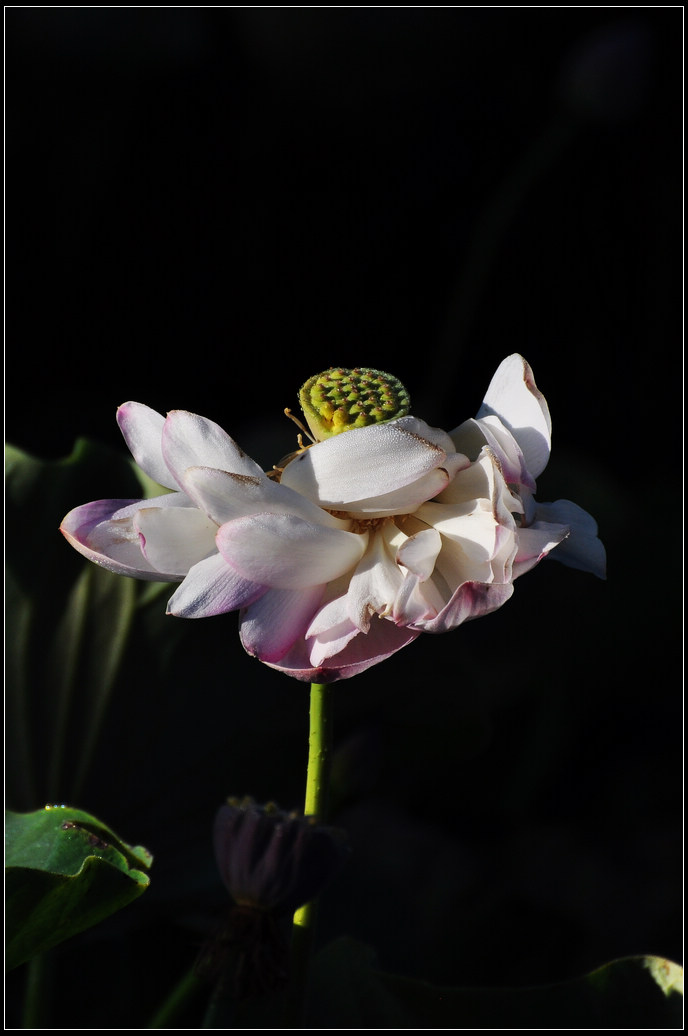 DSC_3568.jpg