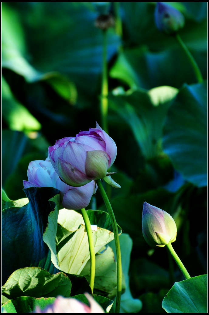DSC_3561.jpg