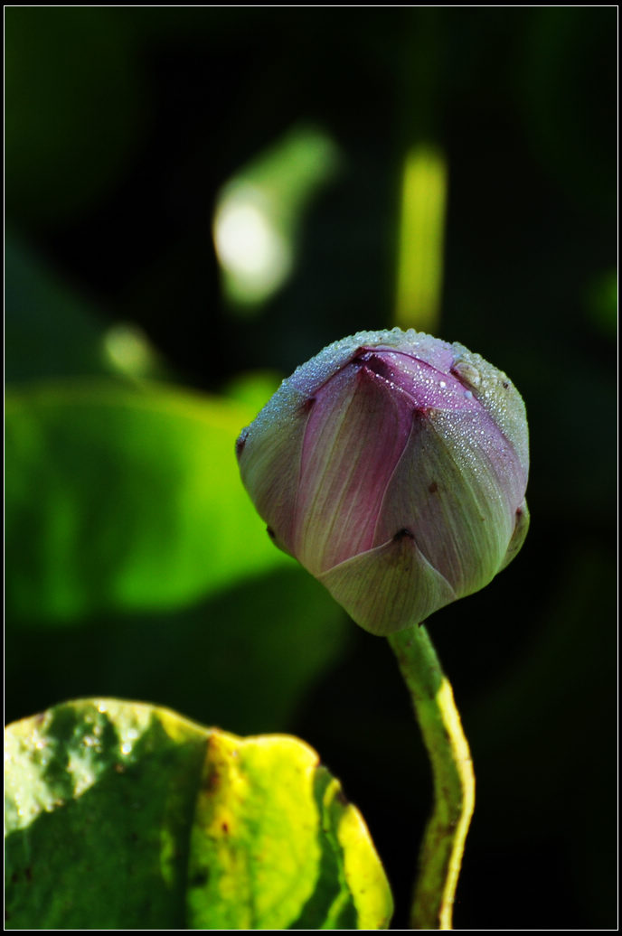 DSC_3629.jpg