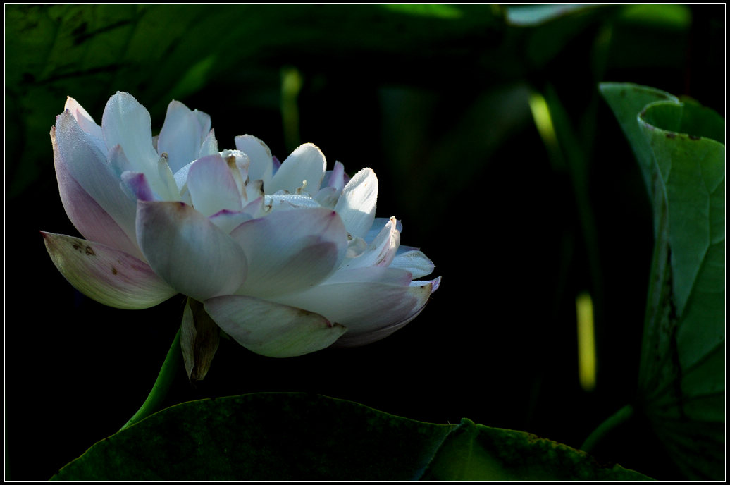 DSC_3589.jpg