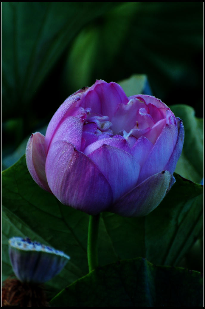 DSC_3569.jpg