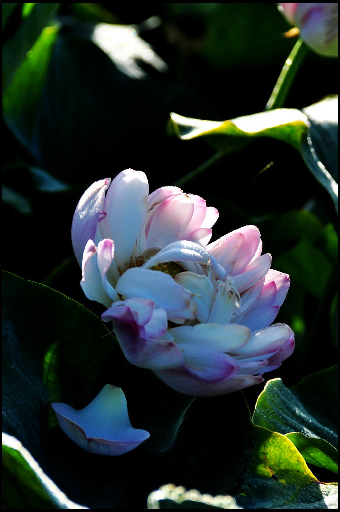 DSC_3591.jpg