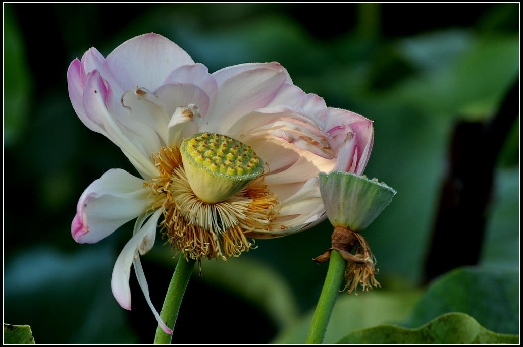 DSC_3576.jpg