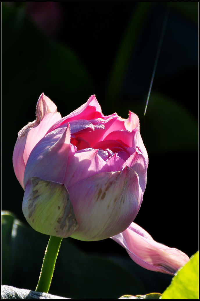 DSC_3607.jpg