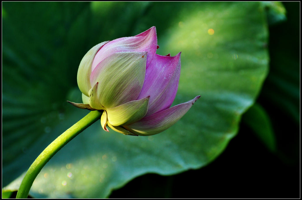 DSC_3579.jpg