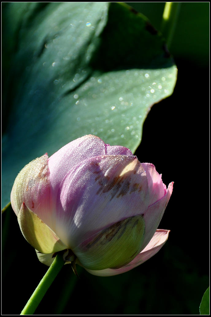DSC_3585.jpg