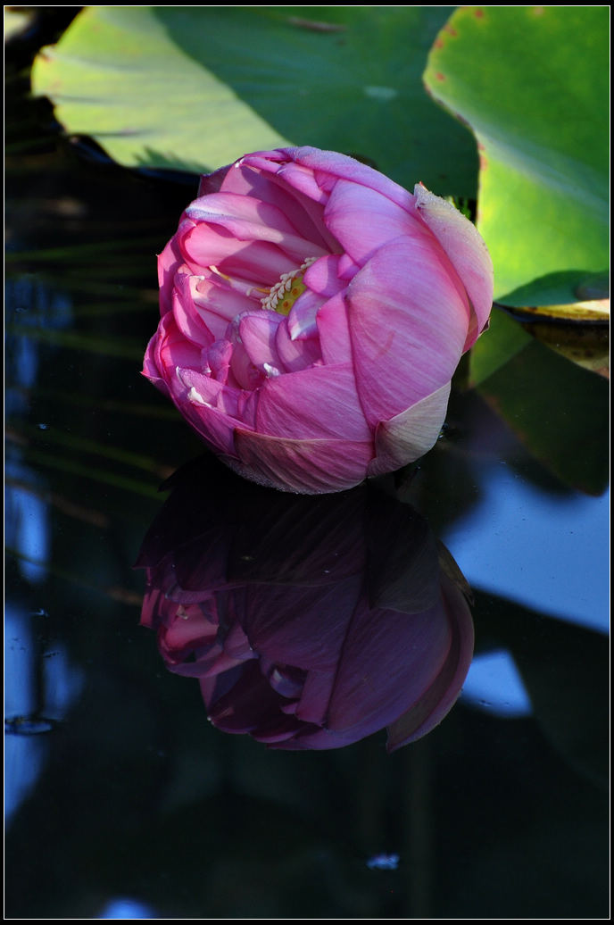 DSC_3559.jpg