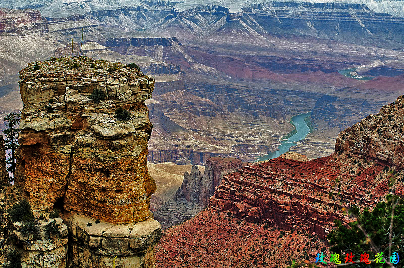 _D3R2958[1].jpg