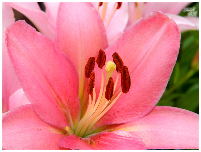 DSCN2891.JPG