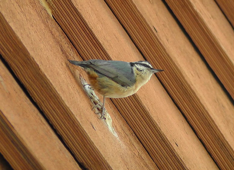 H3690026.JPG
