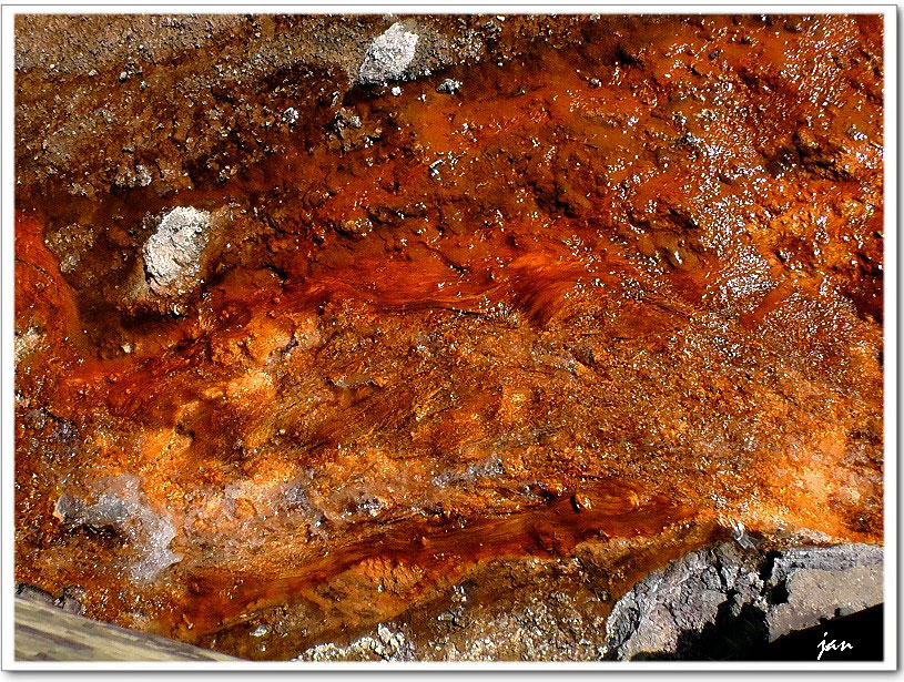 H3880228..jpg