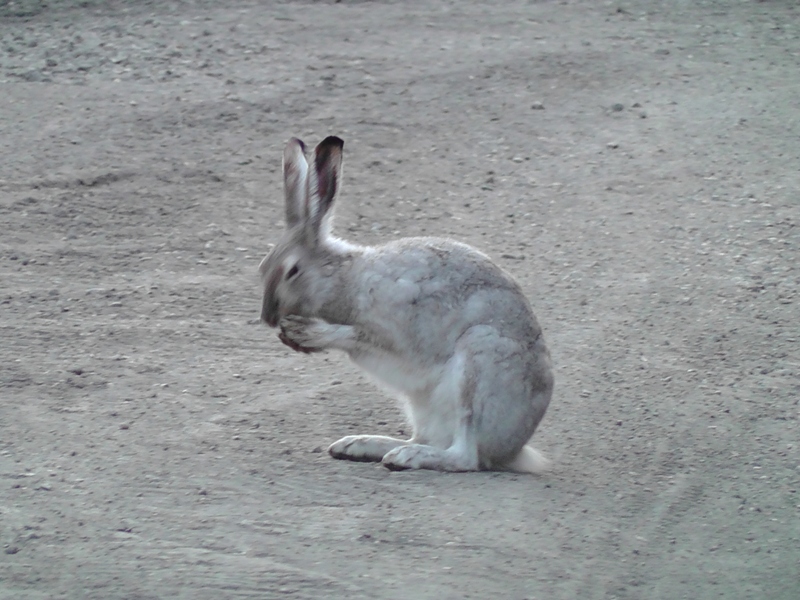 H3730008.JPG