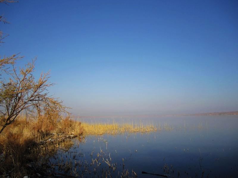 114.jpg